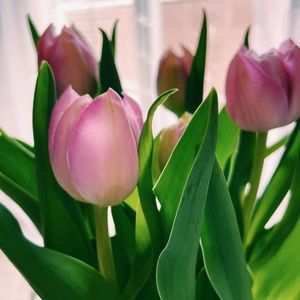 Meet your Posher, Minh